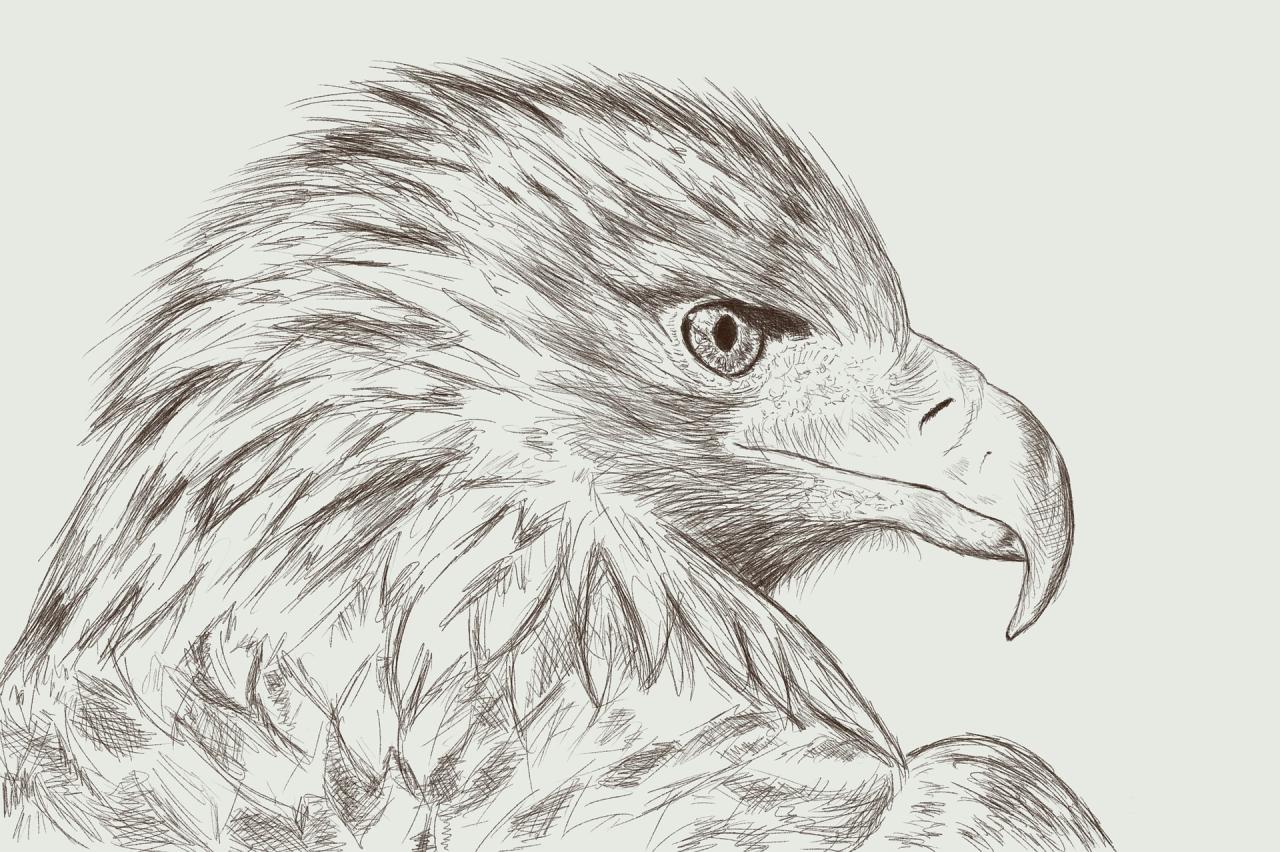 Eagle Drawings Tips For Mixing Prints And Patterns Effectively