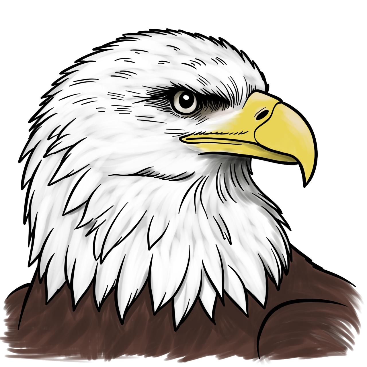 Mastering Eagle Head Drawing: Techniques and Artistic Inspiration Tips For Mixing Prints And Patterns Effectively