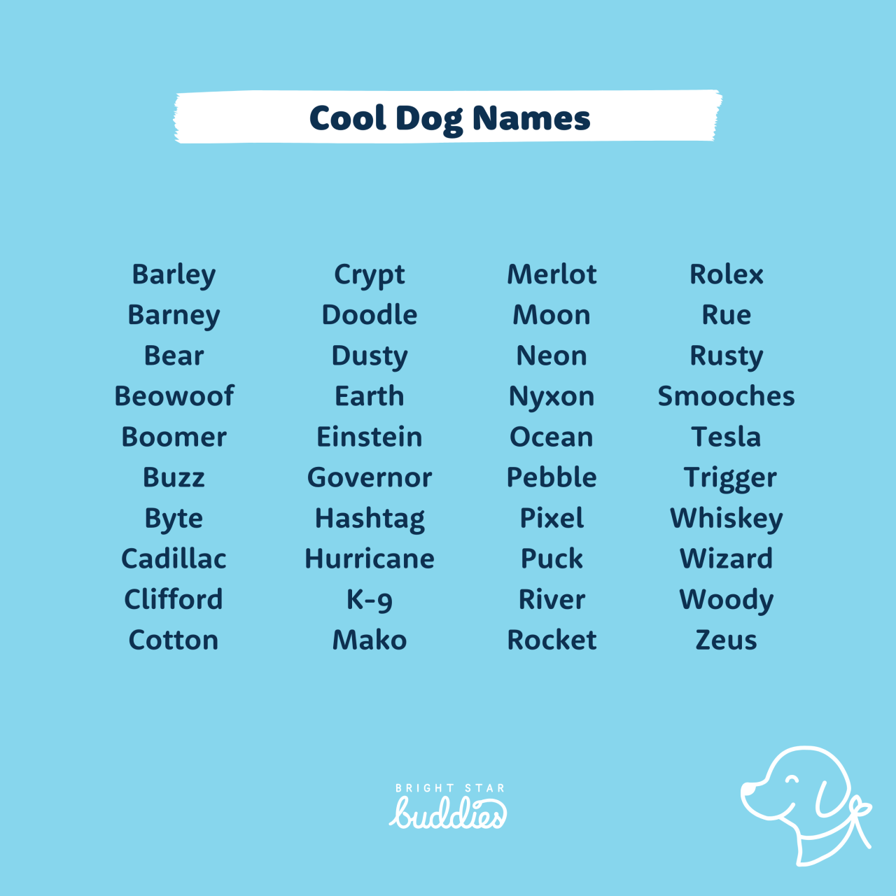 Modern Dog Names How To Create A Diversified Investment Portfolio Effectively
