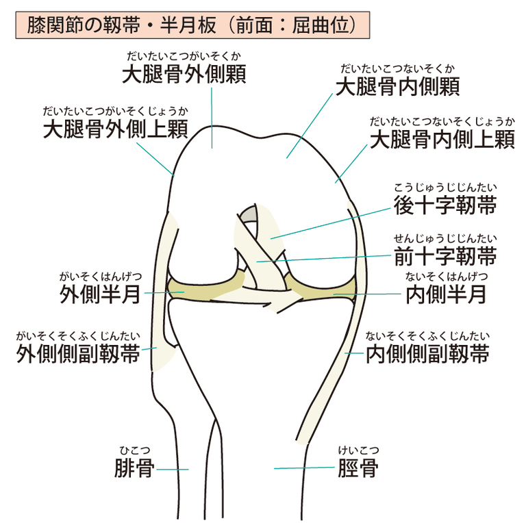 膝の痛み!半月板損傷の症状・治療・手術・テーピング・リハビリ全知識 How To Balance Work And Study Effectively